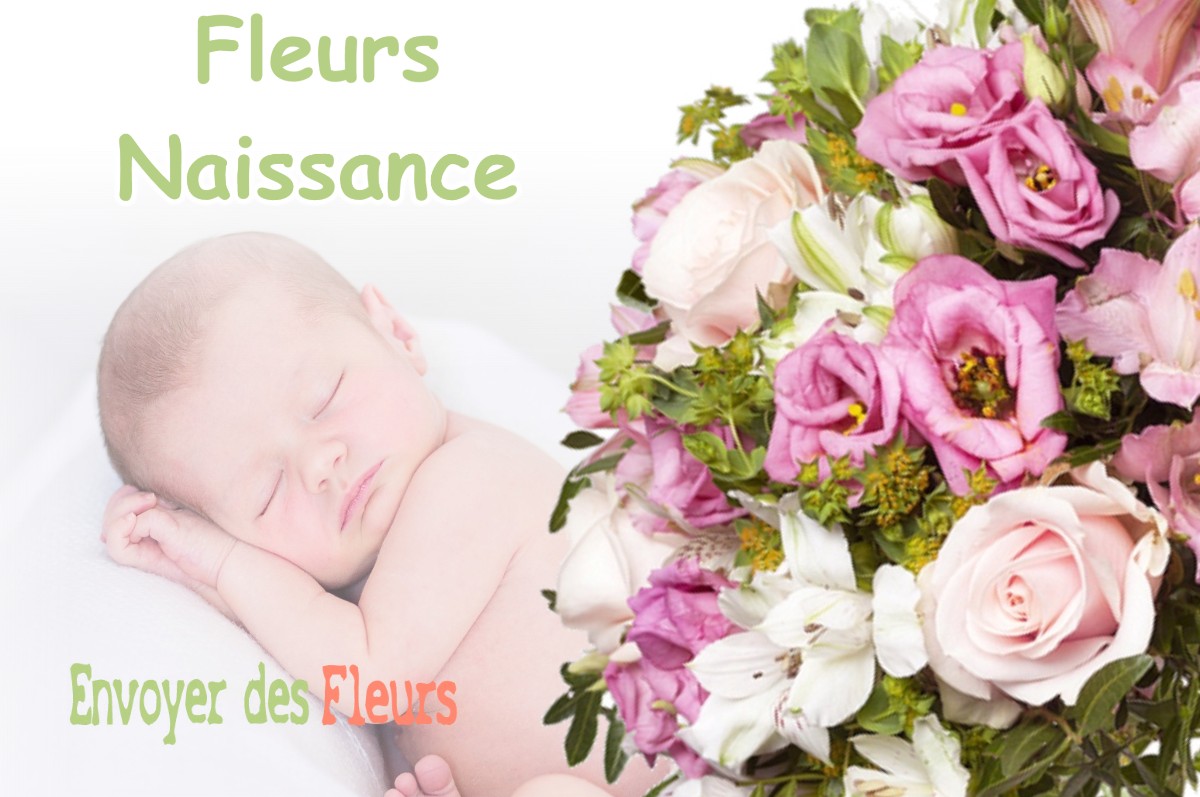 lIVRAISON FLEURS NAISSANCE à GEVRY